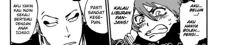 Bleach Chapter 687.1 halaman 13