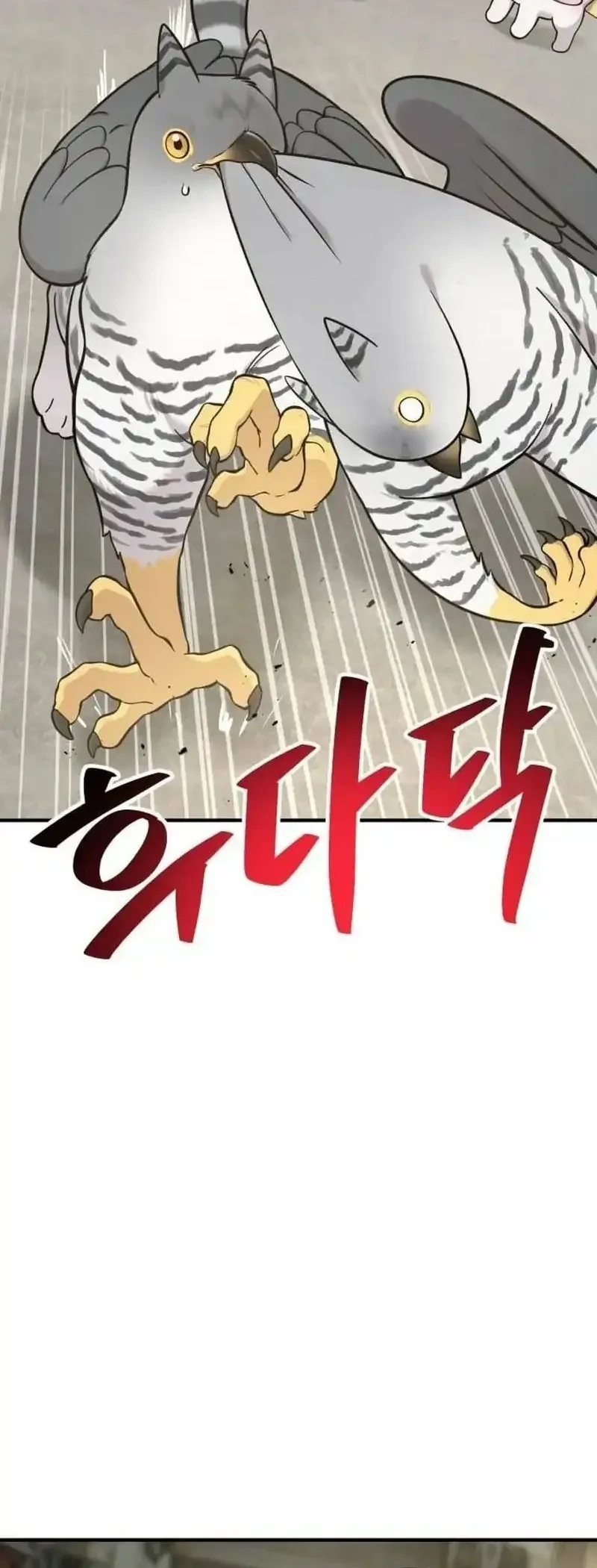 Hello, Fluffy Griffin! Chapter 39 halaman 48