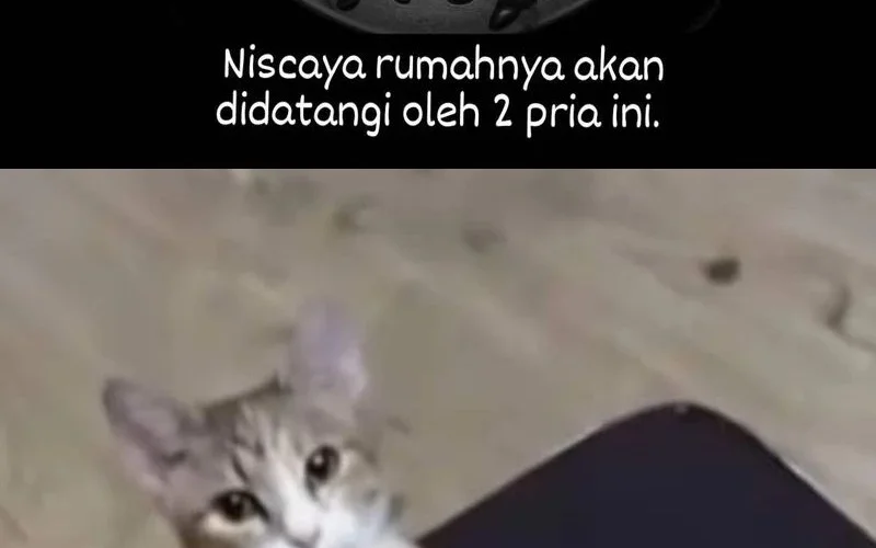 This Villain Has Some Conscience, but Not Much! Chapter 258 halaman 18